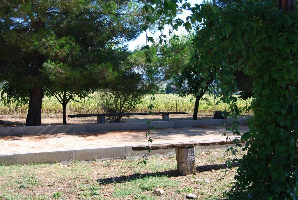 翁布里亚区贾诺Agriturismo Rustichino别墅 外观 照片