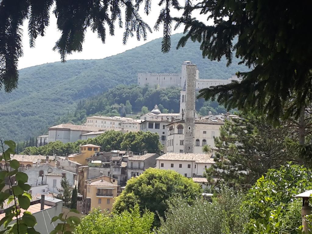 翁布里亚区贾诺Agriturismo Rustichino别墅 外观 照片